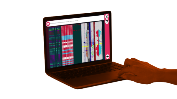 Plan Expert TRADING 2GETHER LMS